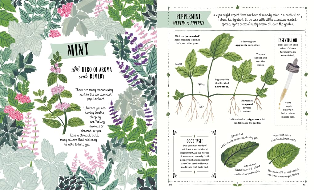 Grow: A first guide to plants and how to grow them - Ages 5+