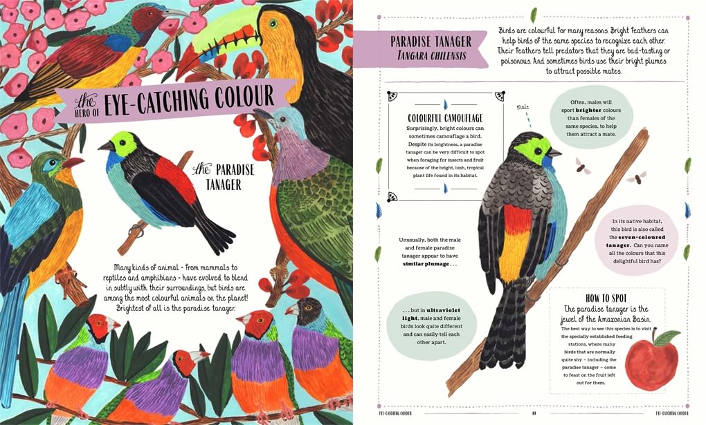 Grow, Glow and Fly in Our Nature – Book Bundle - Ages 3+