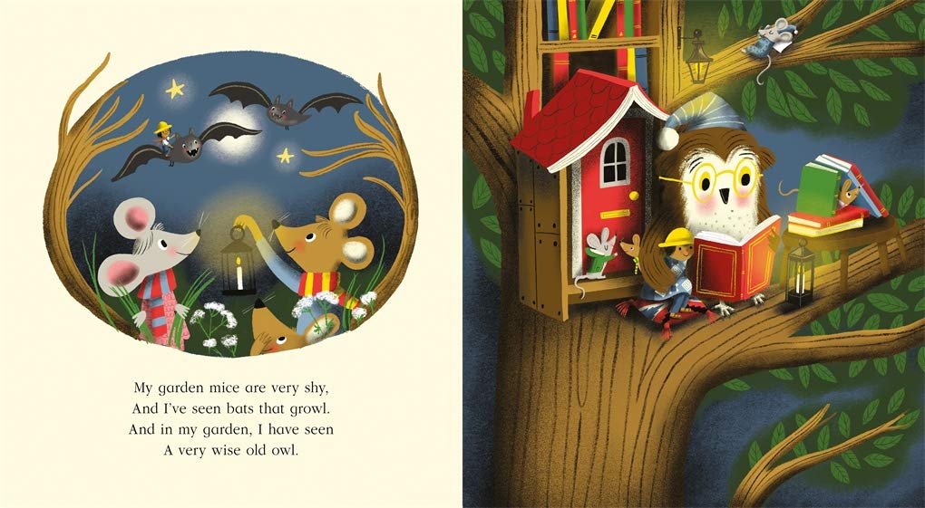 Nature Trail Board Book : A joyful rhyming celebration of the natural wonders on our doorstep - Ages 3+
