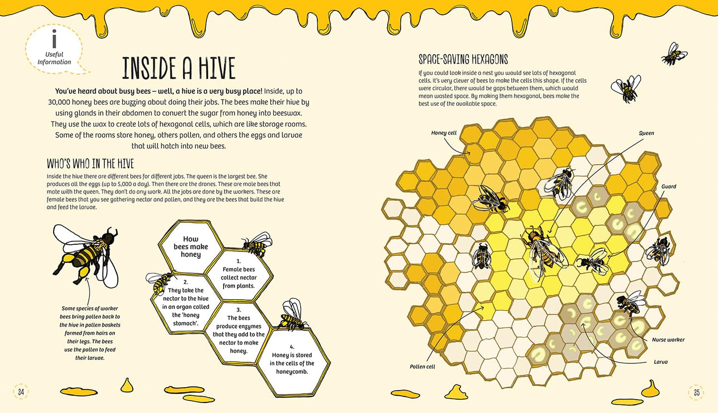 Bird, Bee & Bug Houses : Homes and Habitats for Garden Wildlife - Ages 5+