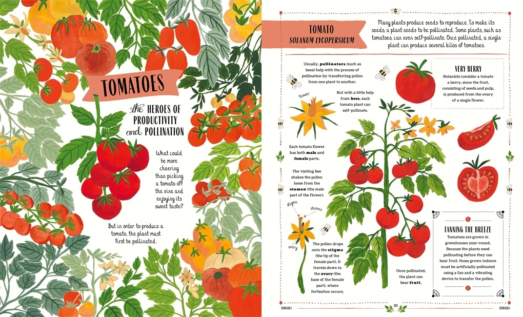 Grow, Glow and Fly in Our Nature – Book Bundle - Ages 3+