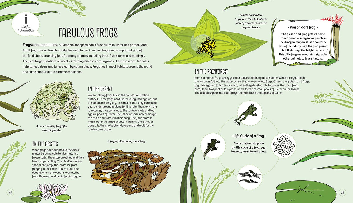 Bird, Bee & Bug Houses : Homes and Habitats for Garden Wildlife - Ages 5+