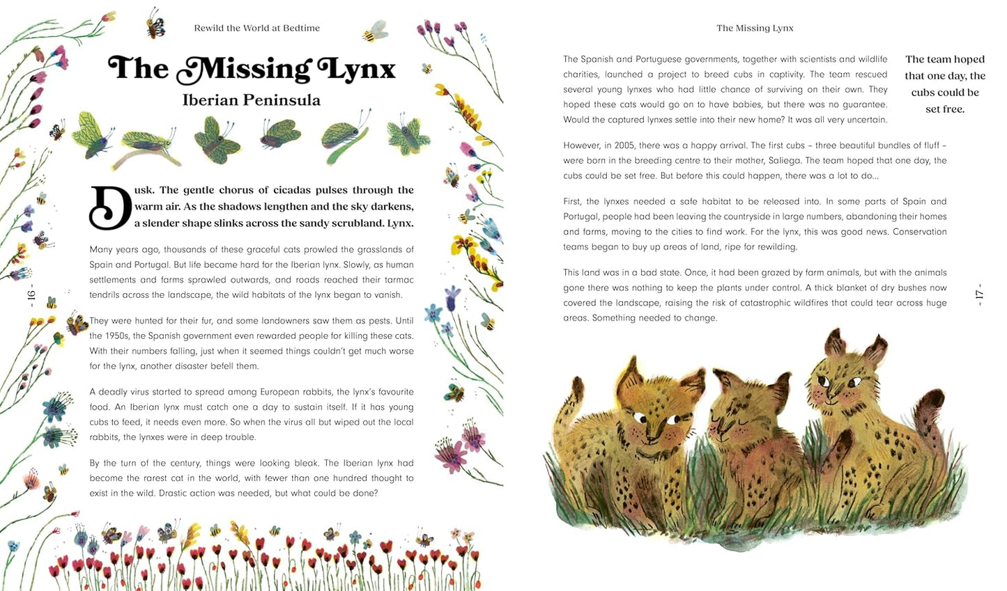 Rewild the World at Bedtime - Ages 5+