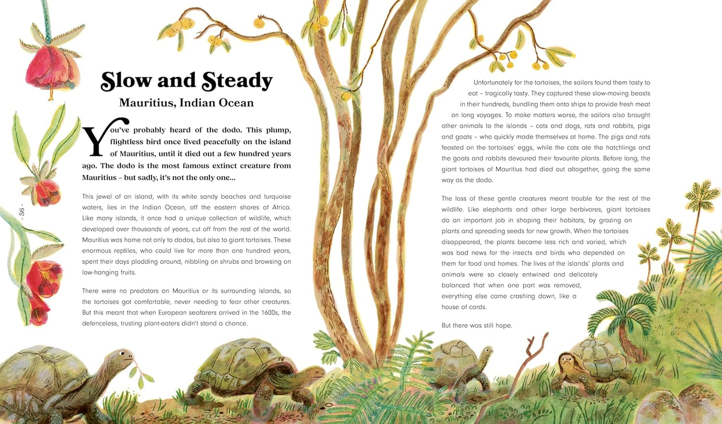 Rewild the World at Bedtime - Ages 5+