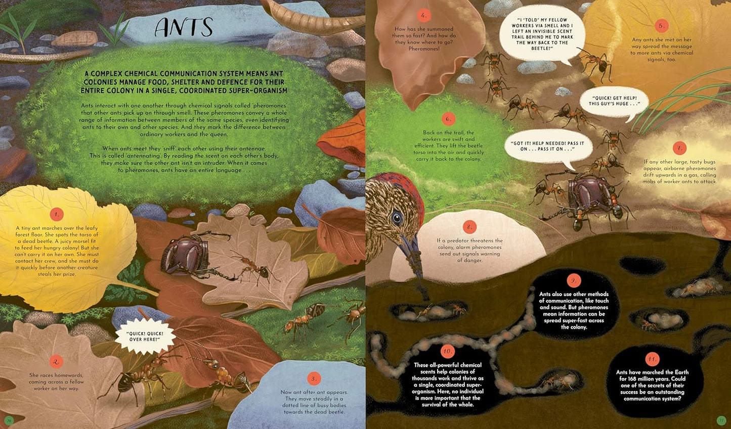 Wild Languages of Mother Nature - Ages 5+