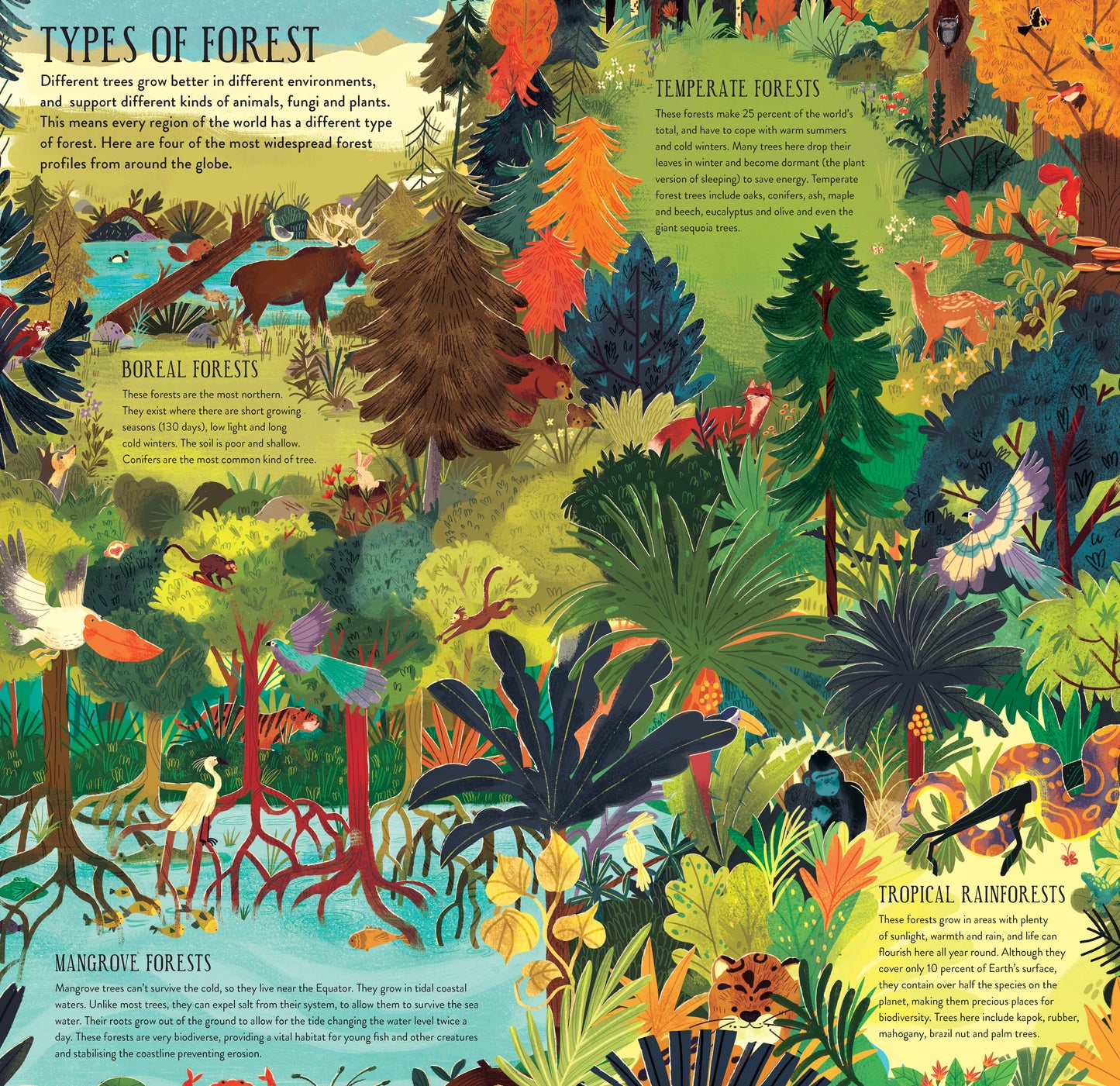 Make and Play: Build a Tree - Ages 7+