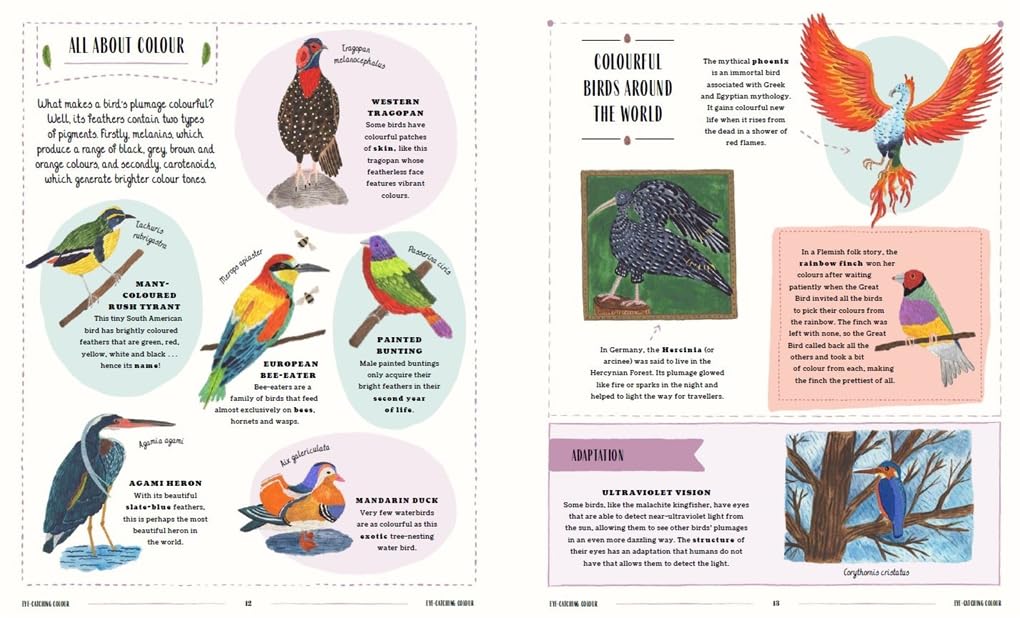 Grow, Glow and Fly in Our Nature – Book Bundle - Ages 3+