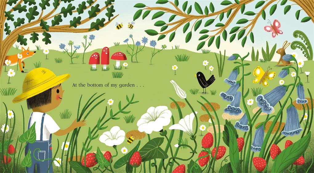 Nature Trail Board Book : A joyful rhyming celebration of the natural wonders on our doorstep - Ages 3+