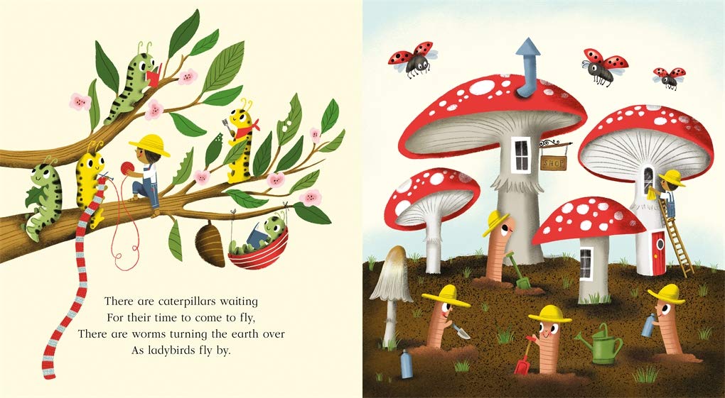 Nature Trail Board Book : A joyful rhyming celebration of the natural wonders on our doorstep - Ages 3+