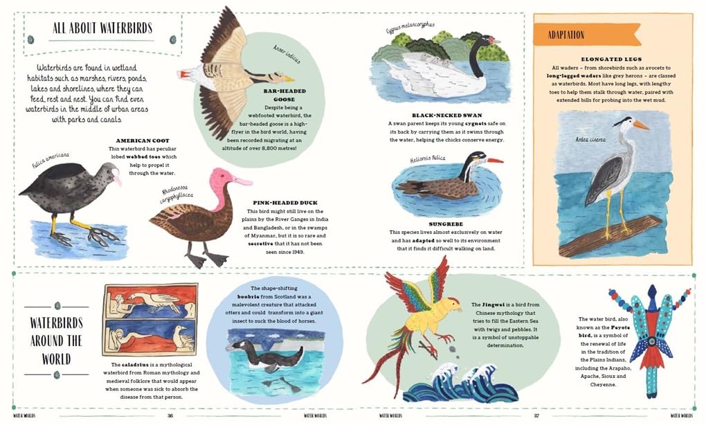 Fly: A Child's Guide to Birds (In Our Nature) - Ages 5+