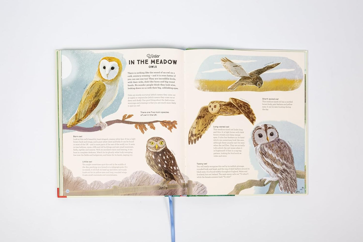 National Trust: A Story of the Seasons : Discover nature through the year - Ages 7+