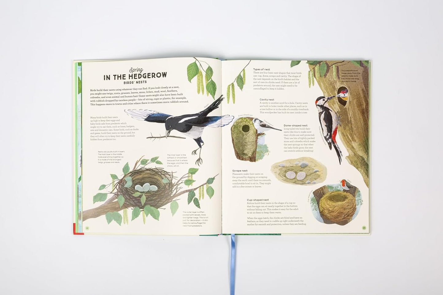 National Trust: A Story of the Seasons : Discover nature through the year - Ages 7+