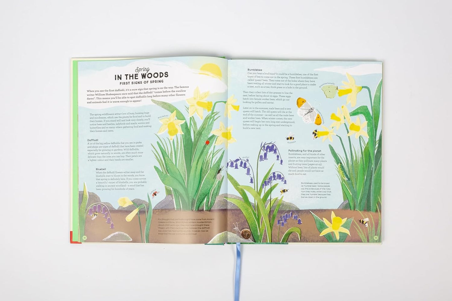 National Trust: A Story of the Seasons : Discover nature through the year - Ages 7+