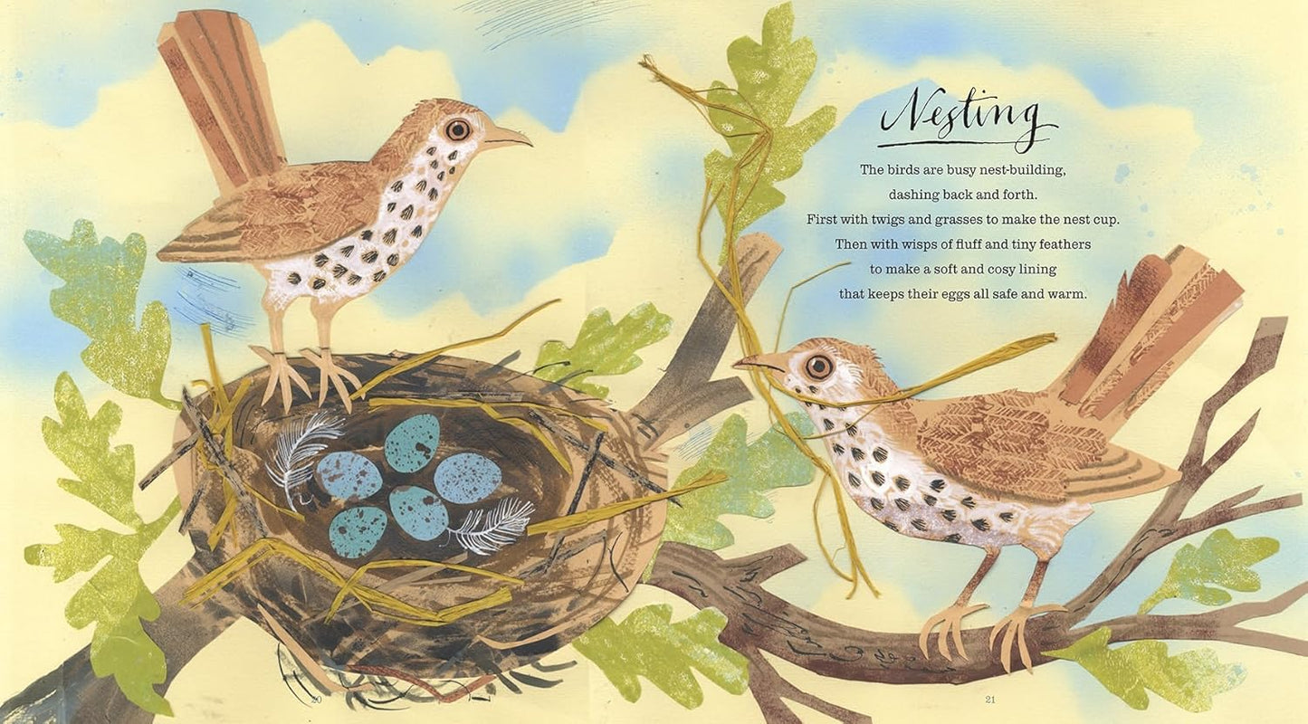 A First Book of Nature - Ages 2+