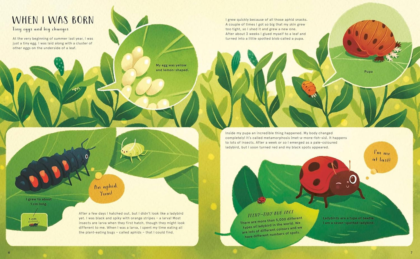 The Secret Life of Bugs - Ages 3+