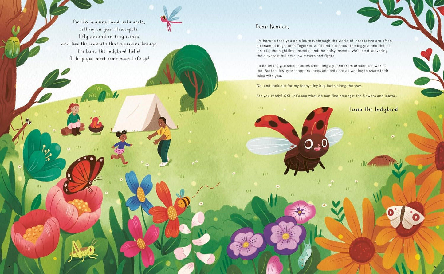The Secret Life of Bugs - Ages 3+