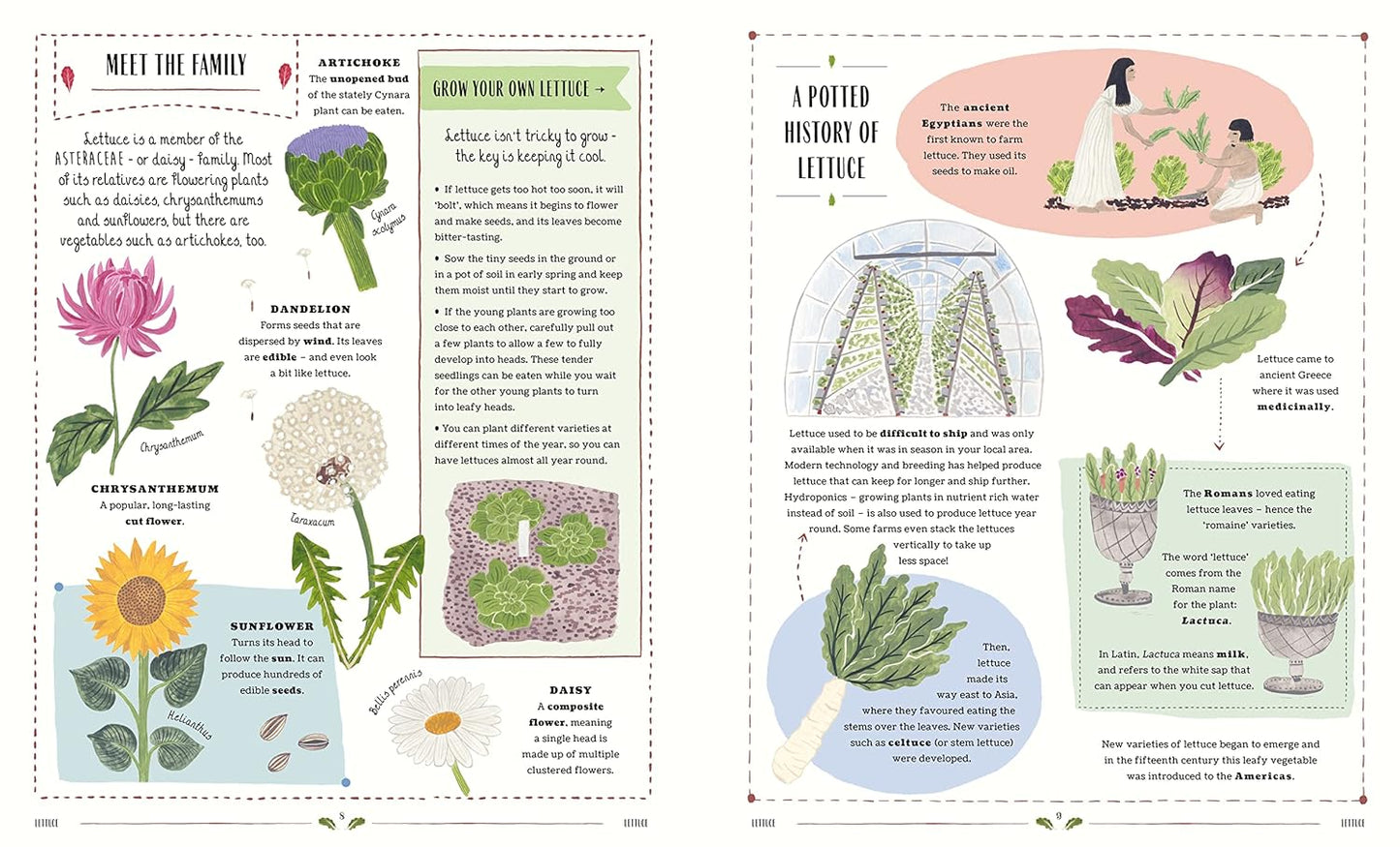 Grow: A first guide to plants and how to grow them -  Ages 5+