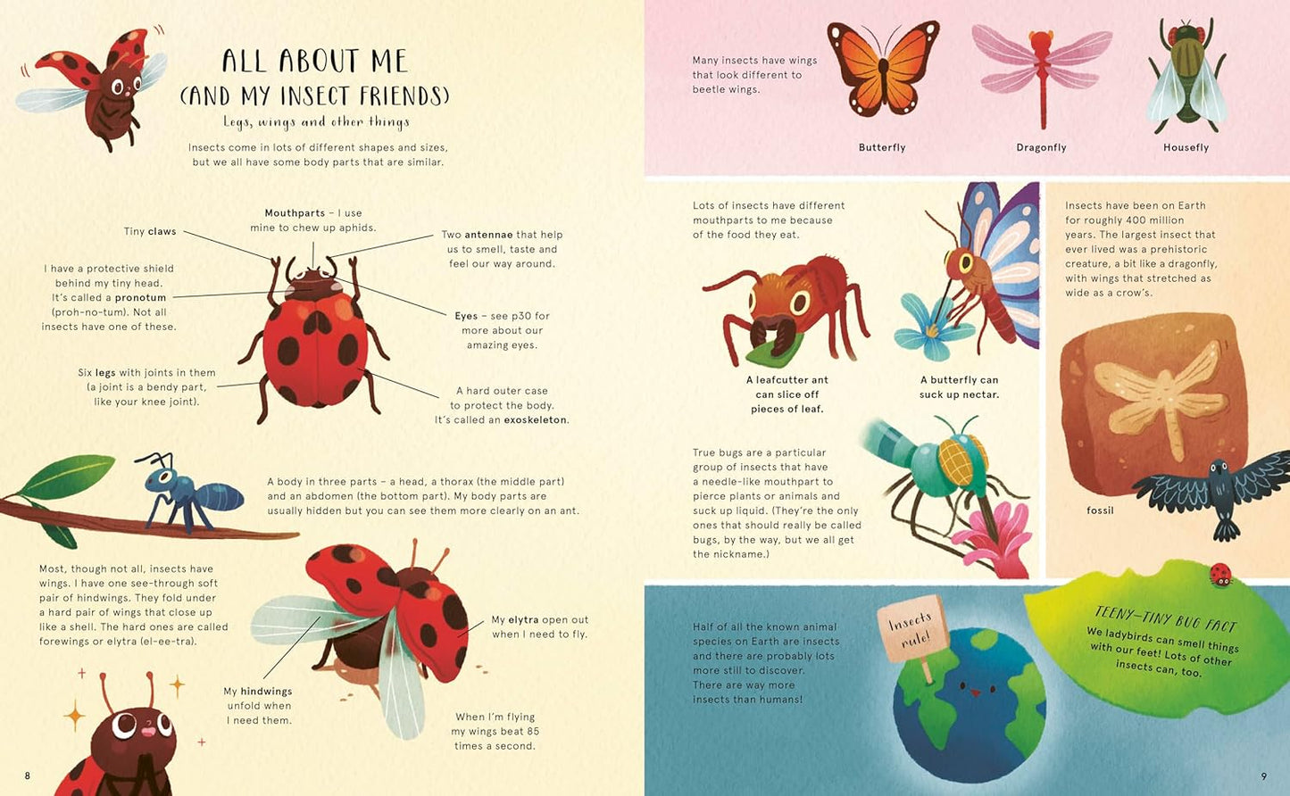 The Secret Life of Bugs - Ages 3+