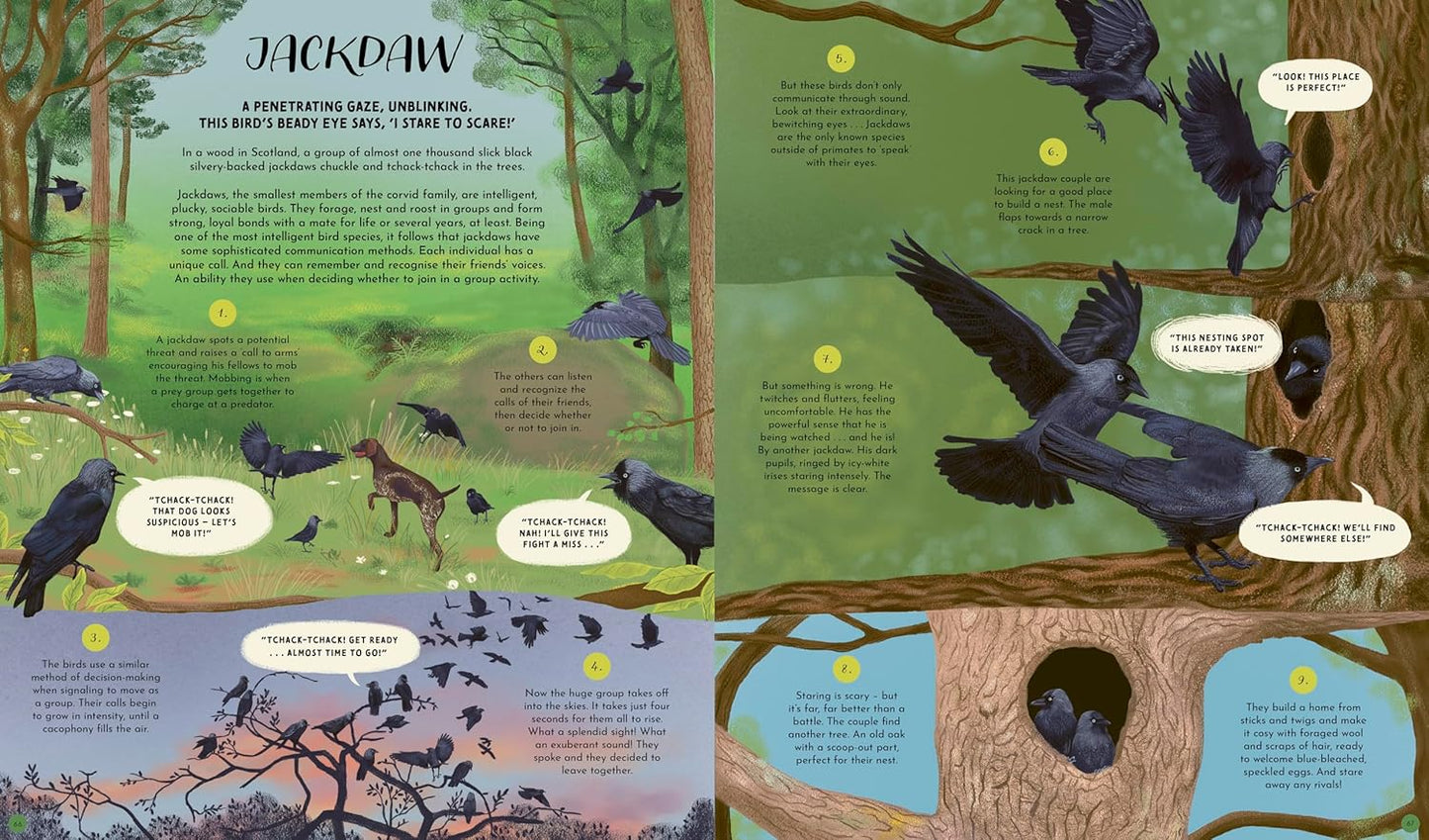 Wild Languages of Mother Nature - Ages 5+