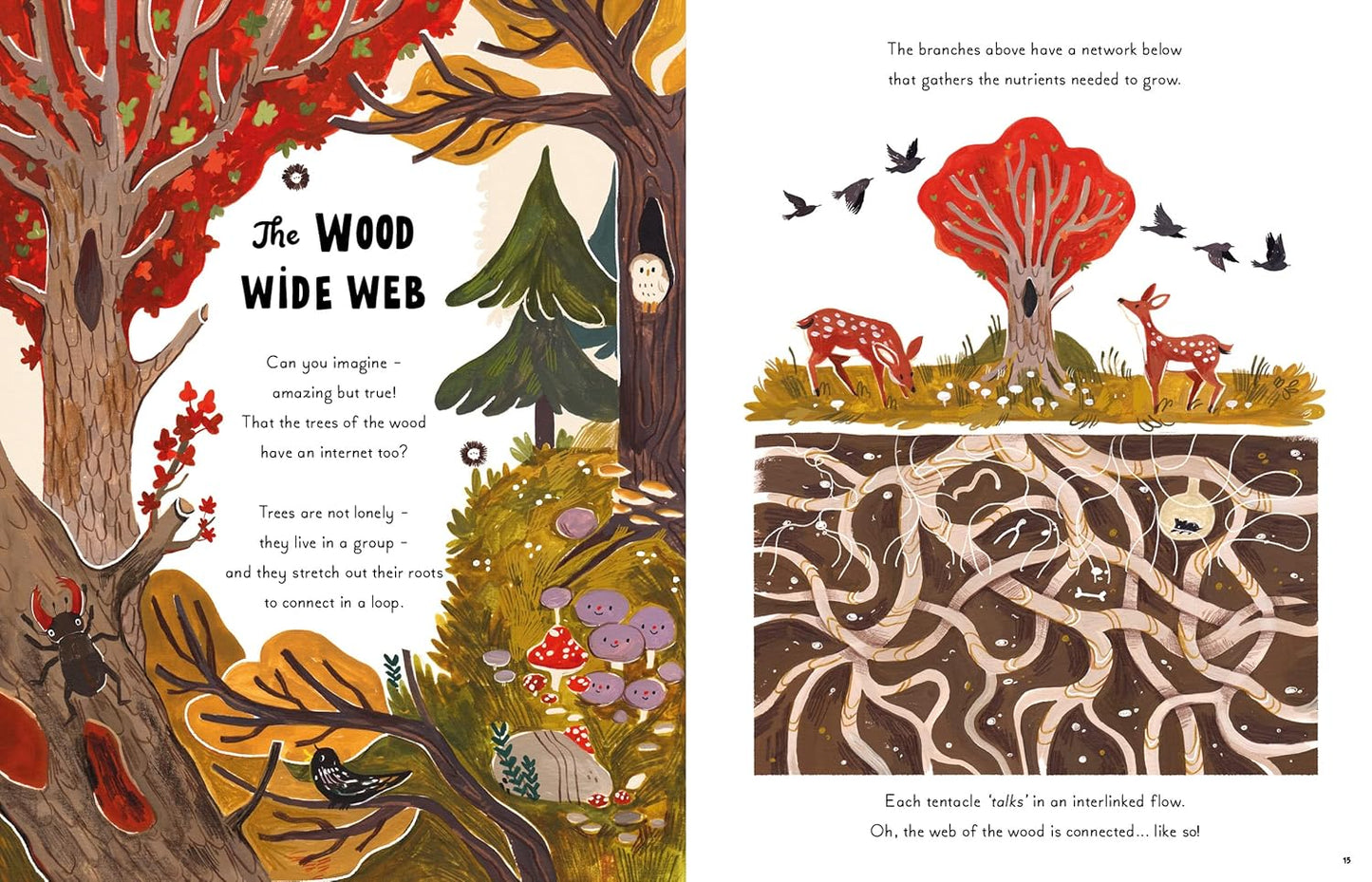 5 Minute Nature Stories: True tales from the Woodland - Ages 5+