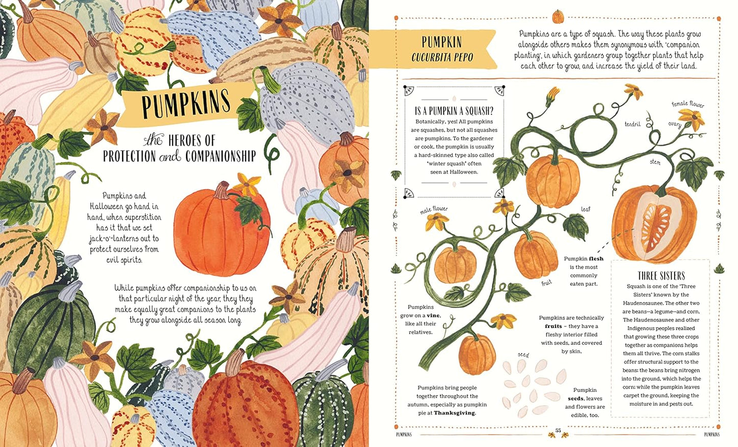Grow: A first guide to plants and how to grow them -  Ages 5+