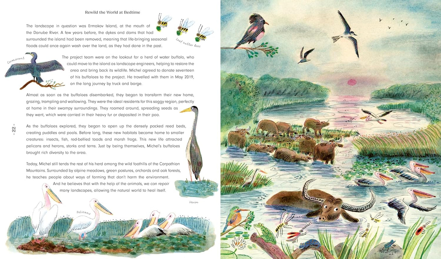 Rewild the World at Bedtime - Ages 5+