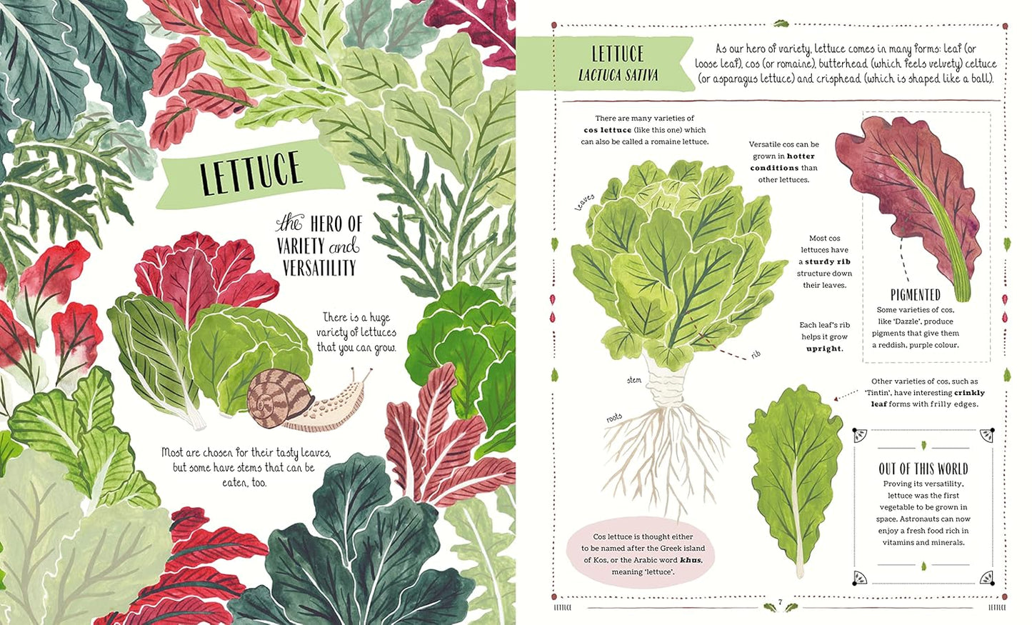 Grow: A first guide to plants and how to grow them -  Ages 5+