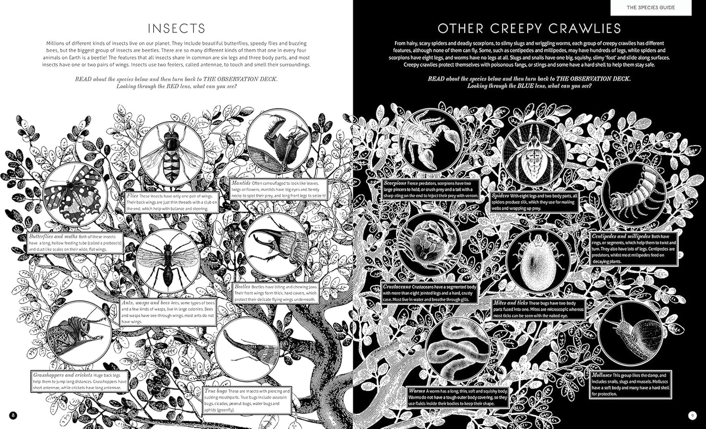 Illumibugs - Ages 5+