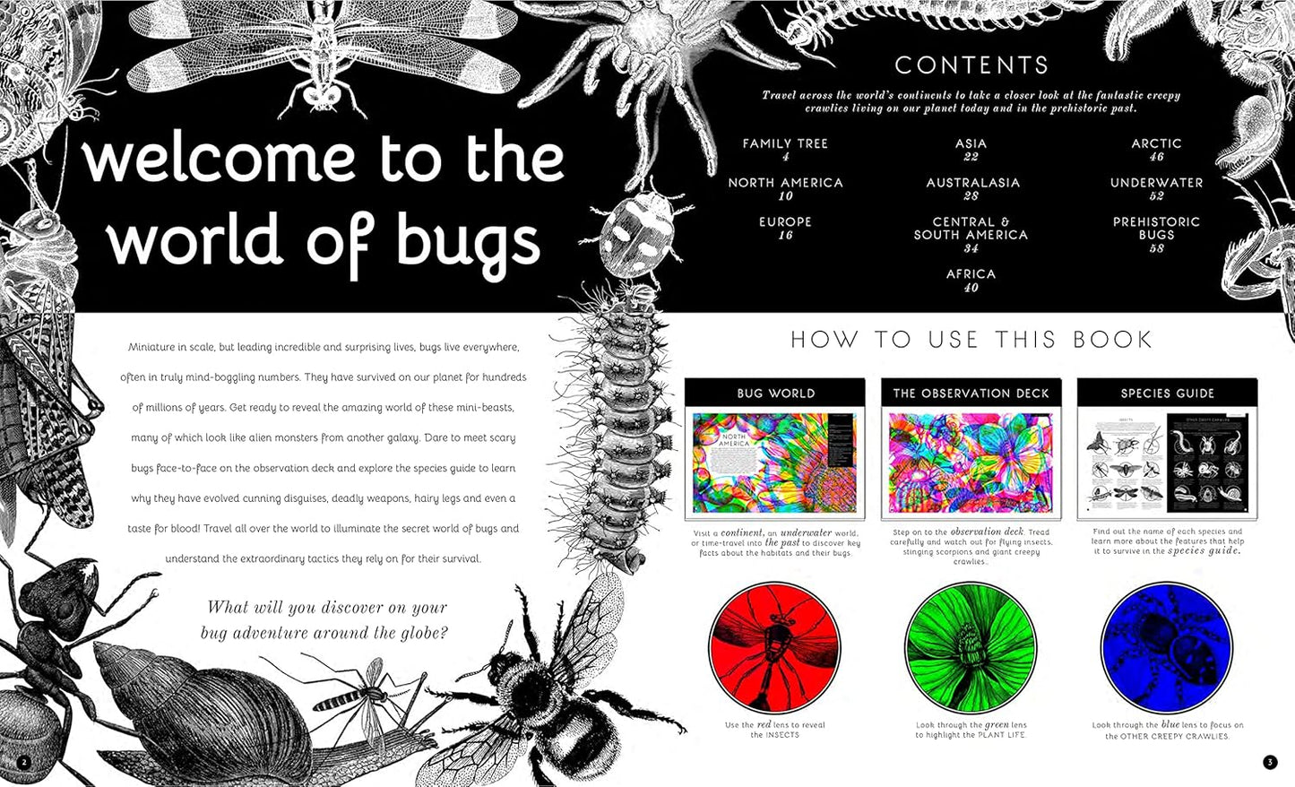 Illumibugs - Ages 5+