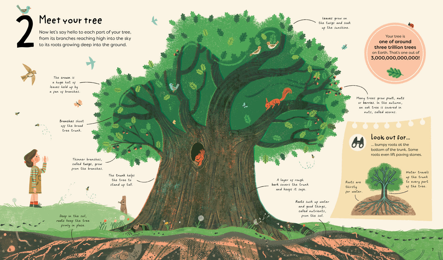 21 Things to do With a Tree - Ages 6+