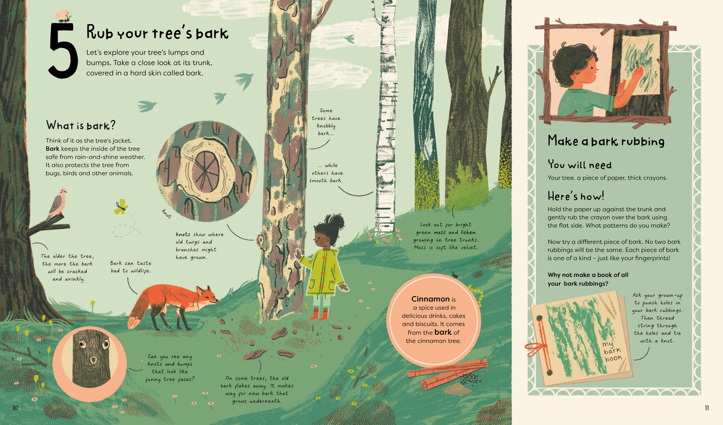 21 Things to do With a Tree - Ages 6+