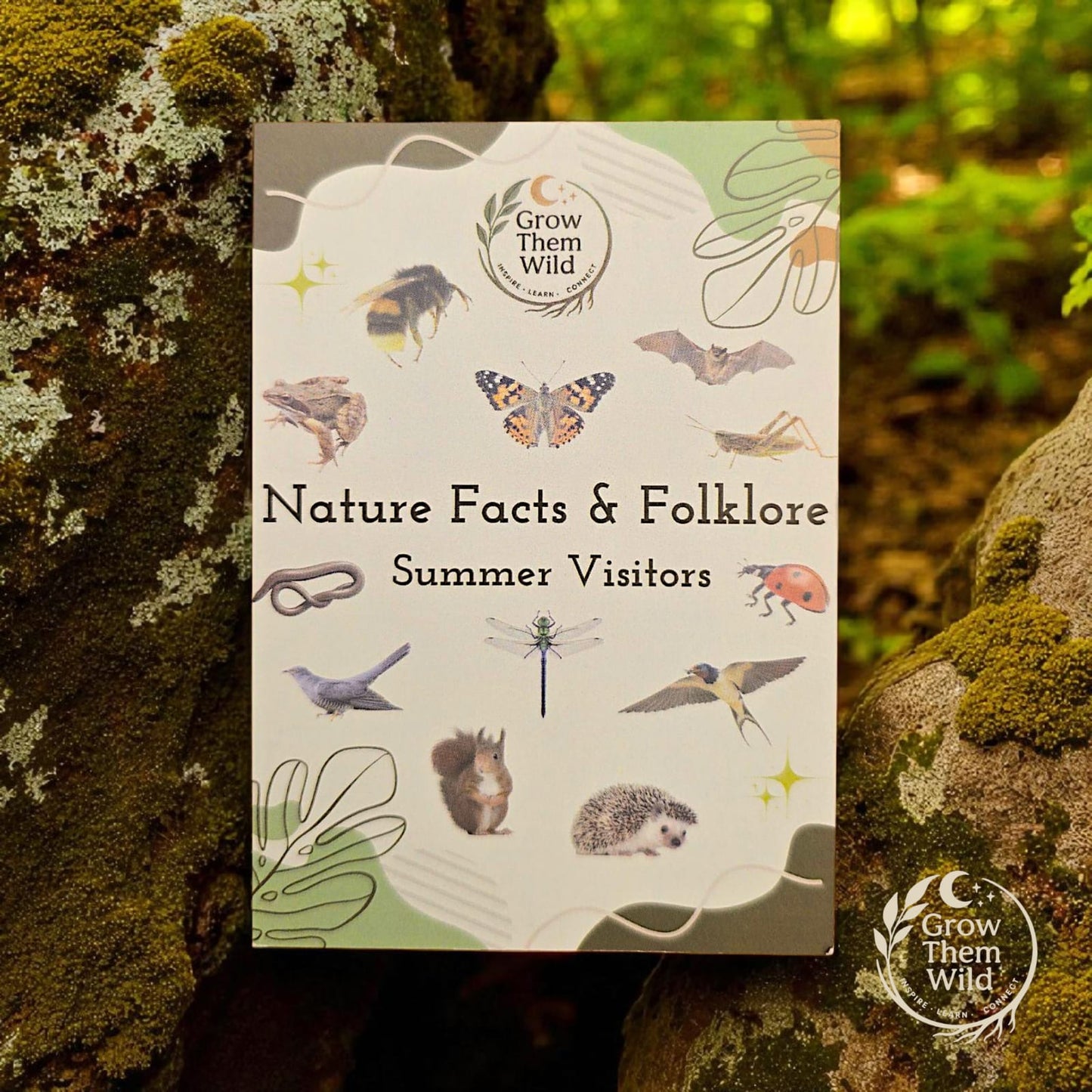 Nature Facts & Folkore - Summer Visitors
