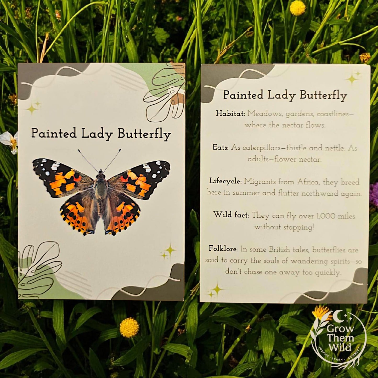 Nature Facts & Folkore - Summer Visitors